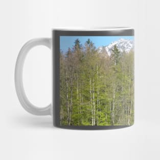 Alps 17 Mug